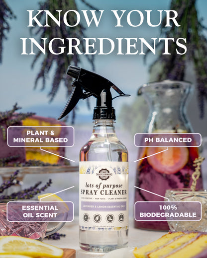 Lots of Purpose Spray Cleaner | Rustic Strength | Not DRL Verified | Daily Ritual Lab