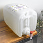 Lots of Purpose Spray Cleaner | Rustic Strength | Not DRL Verified | Daily Ritual Lab