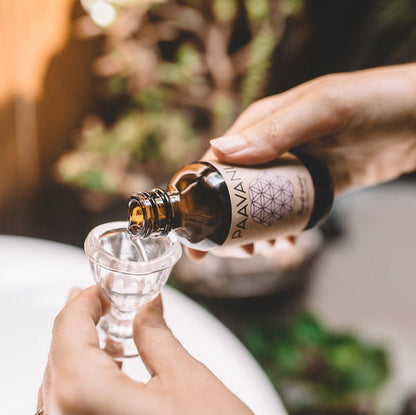 Dinacharya Ritual Kit | Ayurvedic Daily Self-Care for Balance & Vitality