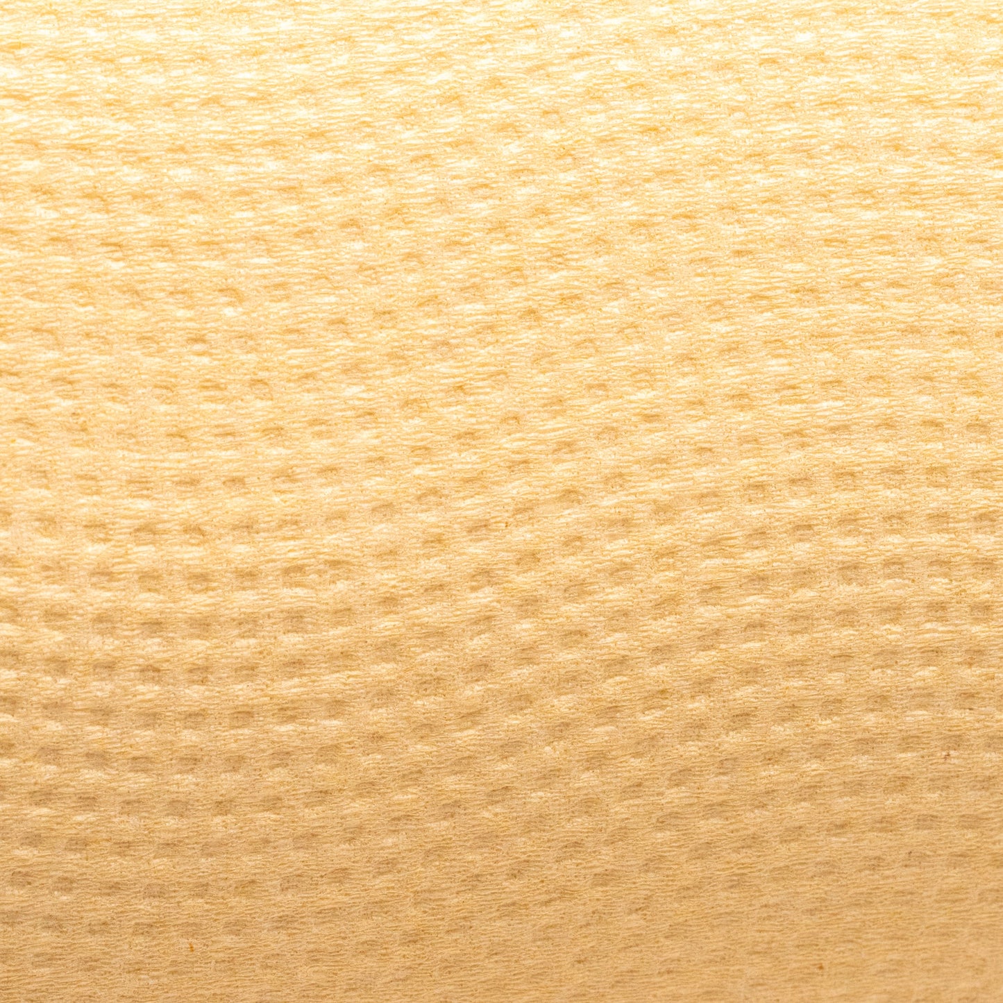 Panda Eco Paper | Rustic Strength | AI-Verified Clean | Daily Ritual Lab