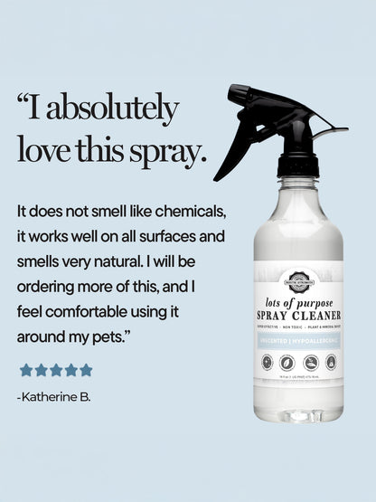 Lots of Purpose Spray Cleaner | Rustic Strength | Not DRL Verified | Daily Ritual Lab