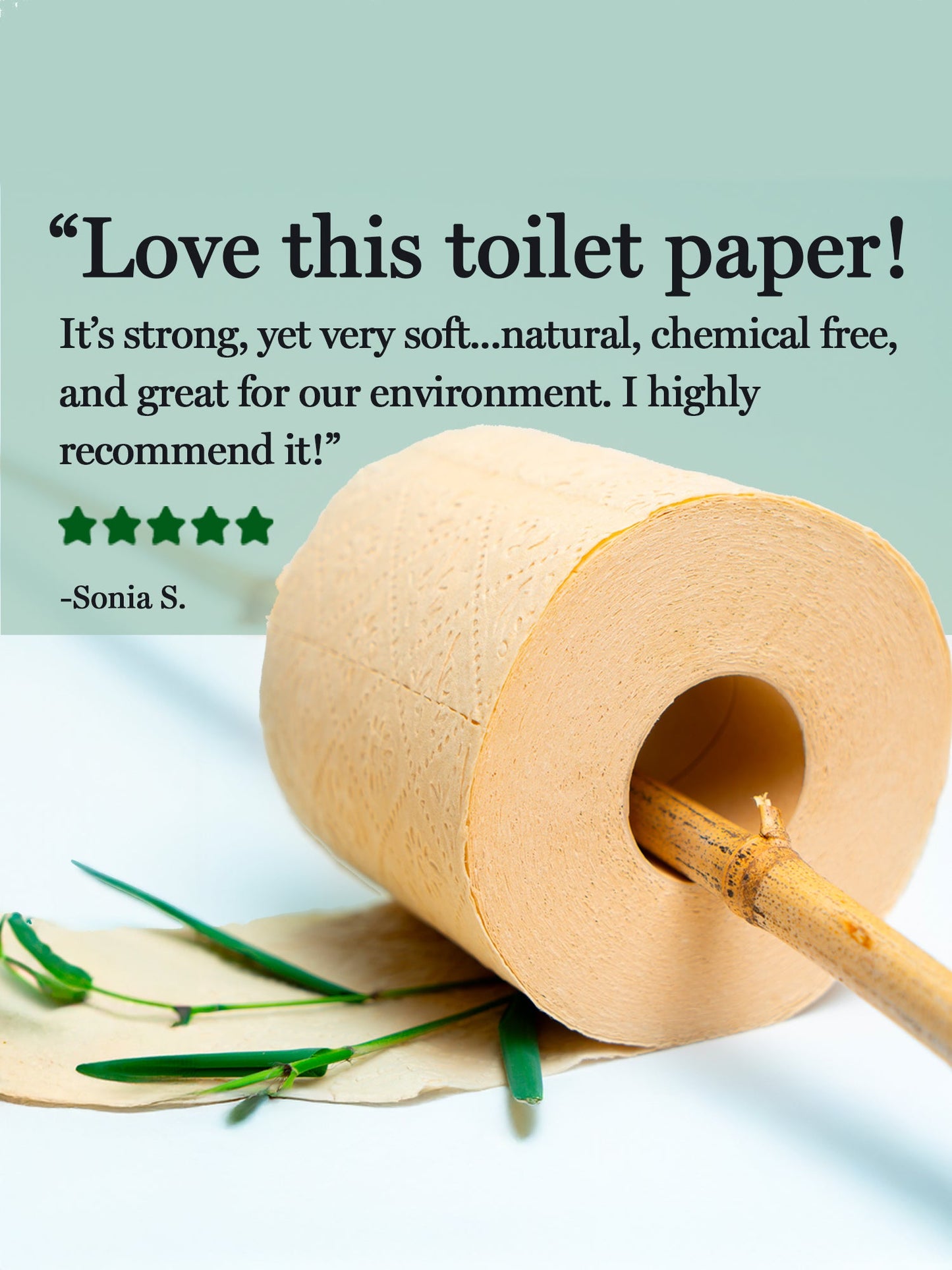 Panda Eco Paper | Rustic Strength | AI-Verified Clean | Daily Ritual Lab
