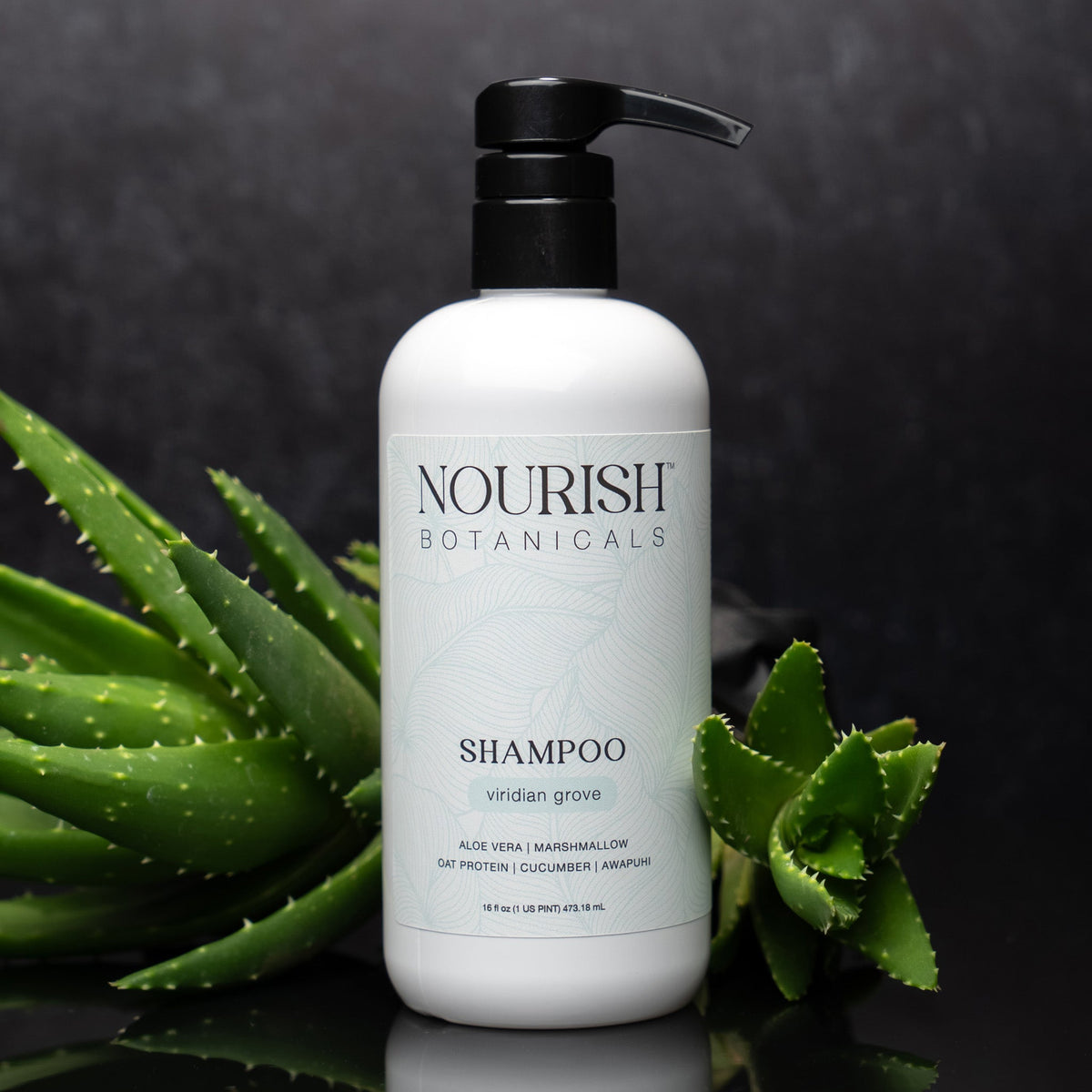 Aloe Vera Shampoo | Rustic Strength | AI-Verified Clean | Daily Ritual Lab