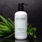 Aloe Vera Shampoo | Rustic Strength | AI-Verified Clean | Daily Ritual Lab