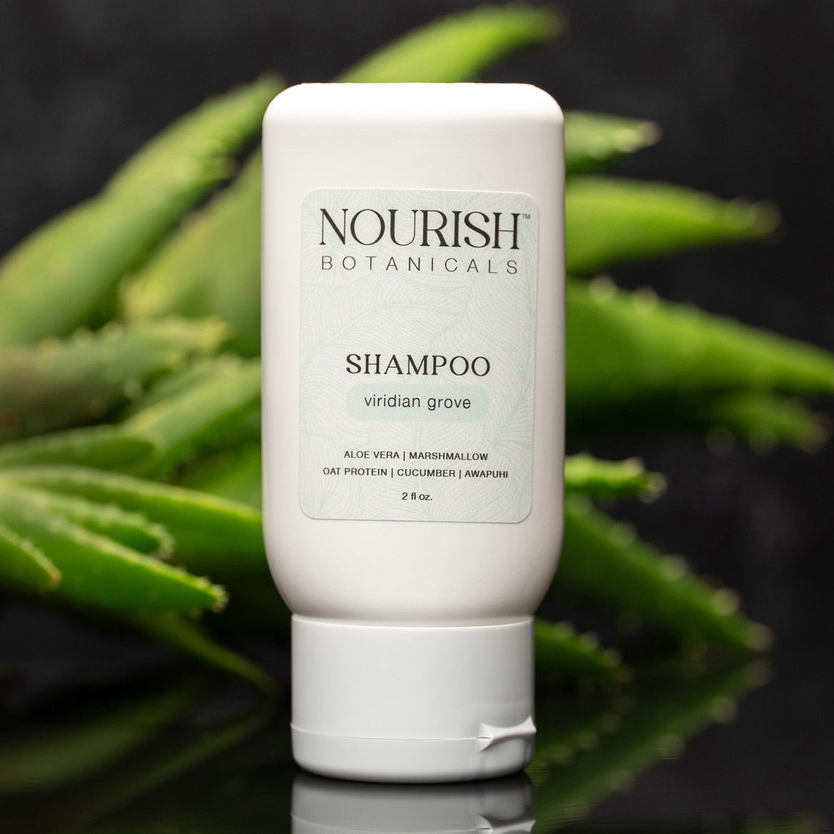 Aloe Vera Shampoo | Rustic Strength | AI-Verified Clean | Daily Ritual Lab