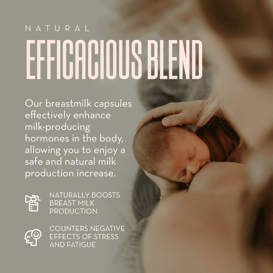 Breastfeeding Bundle - Breastfeeding Tea + Lactation Support | Verawella | AI-Verified Clean | Daily Ritual Lab