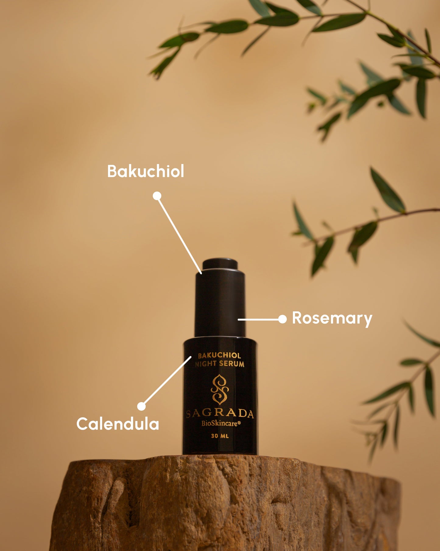 Night Bakuchiol Serum | Sagrada BioSkincare | Triple Verified Clean |